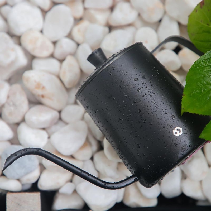 OFFIDIX Watering Can for Indoor Plants,Long Spout Metal Stainless Steel 21 oz/600 ml Watering Can with 14 oz/400ml Glass Plant Mister Spray Bottle for Plant Bonsai - Image 4